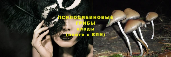 а пвп мука Иннополис
