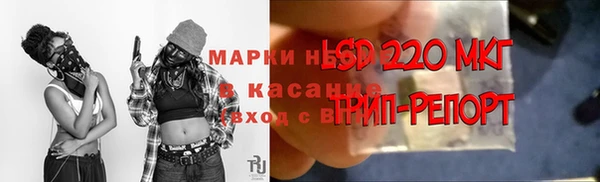 круглые Инсар