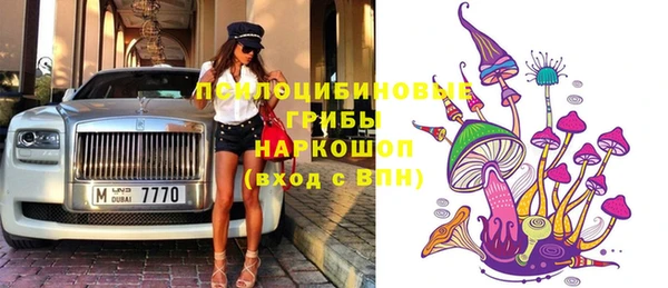 круглые Инсар