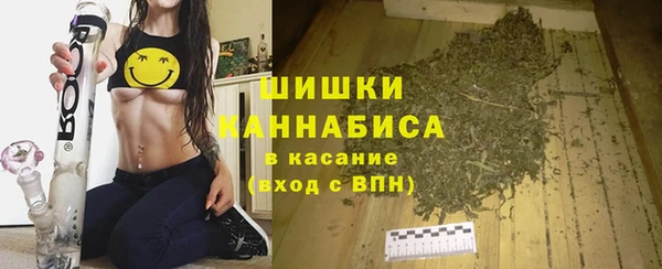 круглые Инсар